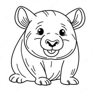 Wombat Kleurplaten