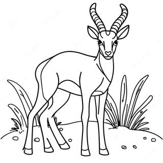 Antelope Färgläggningssida 62163-49188