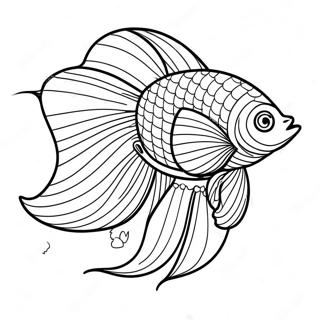 Betta Vis Kleurplaten