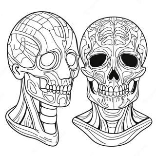 Pagina Da Colorare Anatomia 980-794