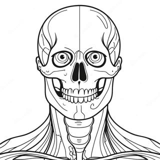 Pagina Da Colorare Anatomia 980-796