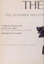 Cover of: The shell: five hundred million years of inspired design