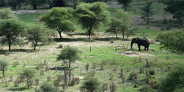 Tarangire National Park