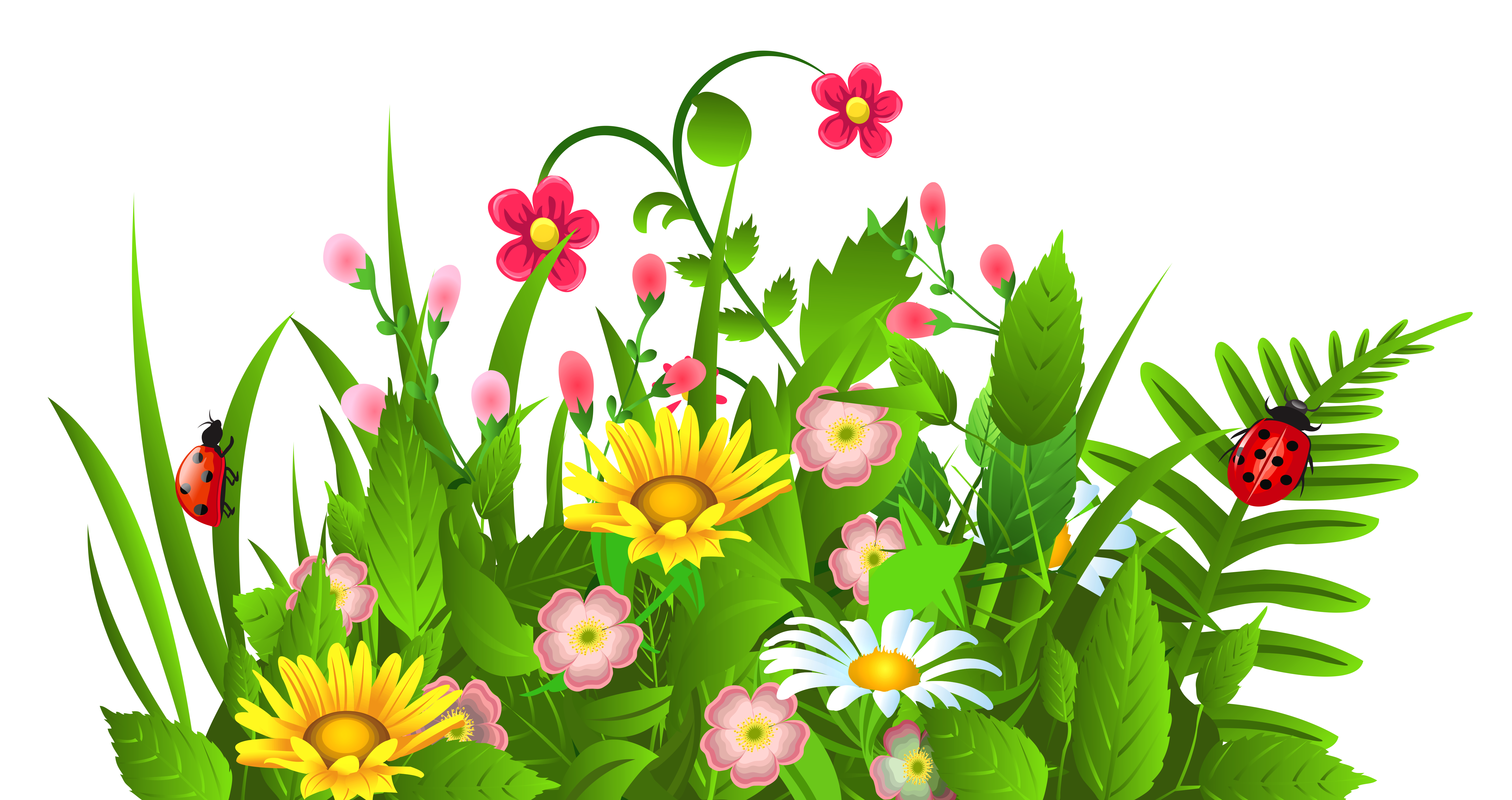 Free Spring Flowers Transparent Background, Download Free Spring ...