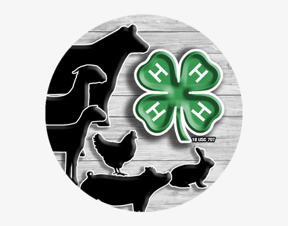 4-h logo cute