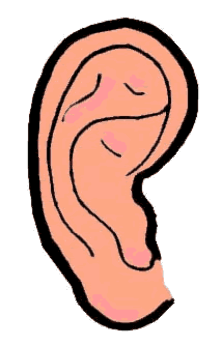 ear clip art left