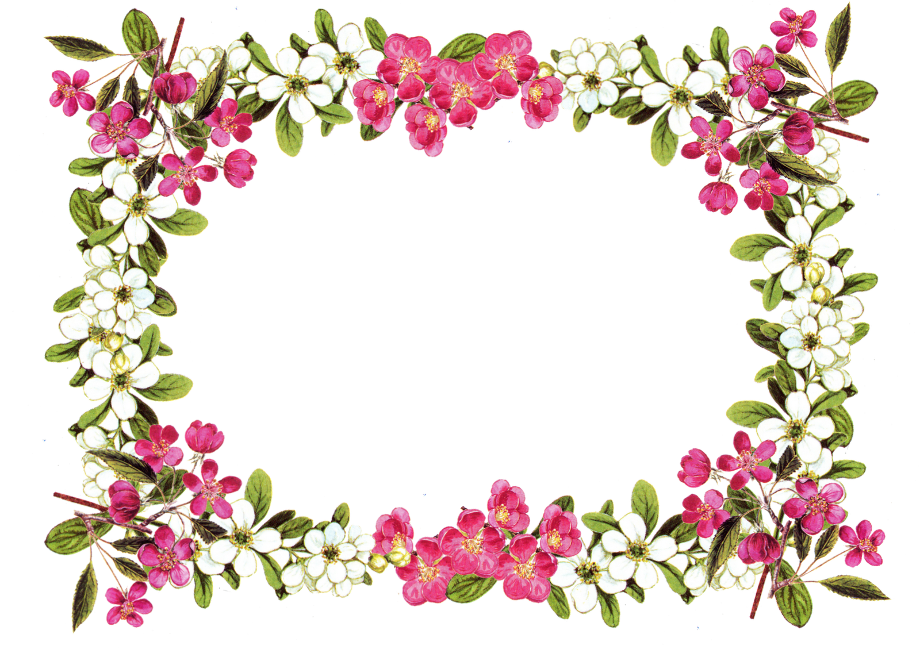 flowers clipart border