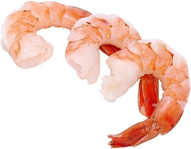 Clip art shrimp