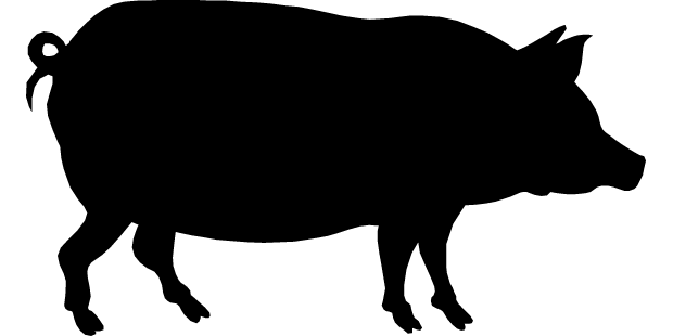 Pigs clip art 7