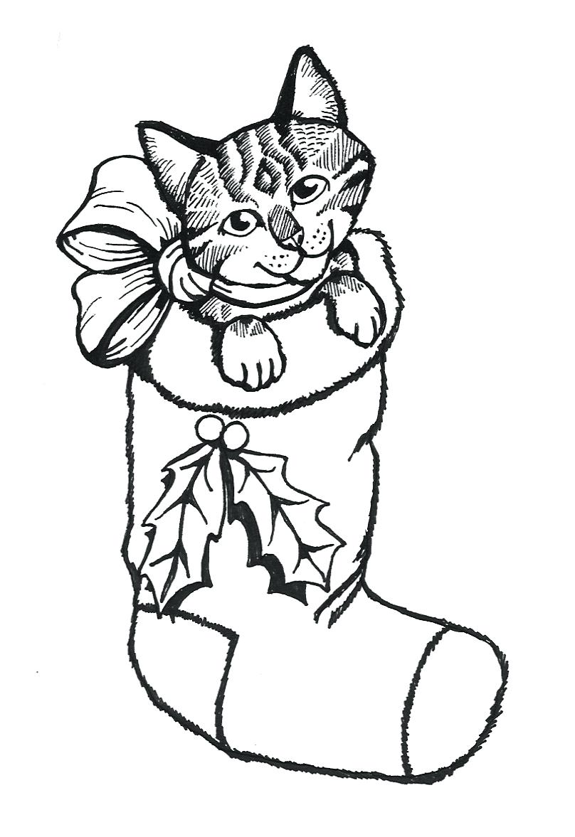 Cat Coloring Pages