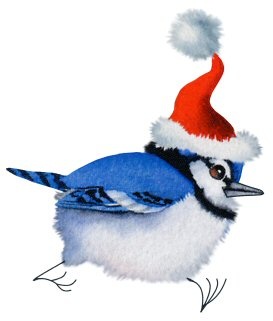 Blue Jay Bird Clip Art