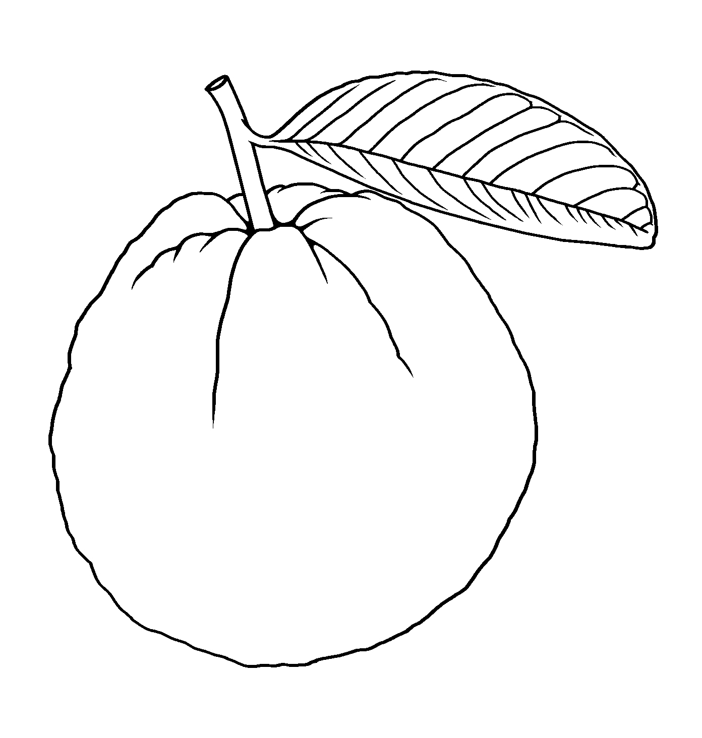 guava drawing easy