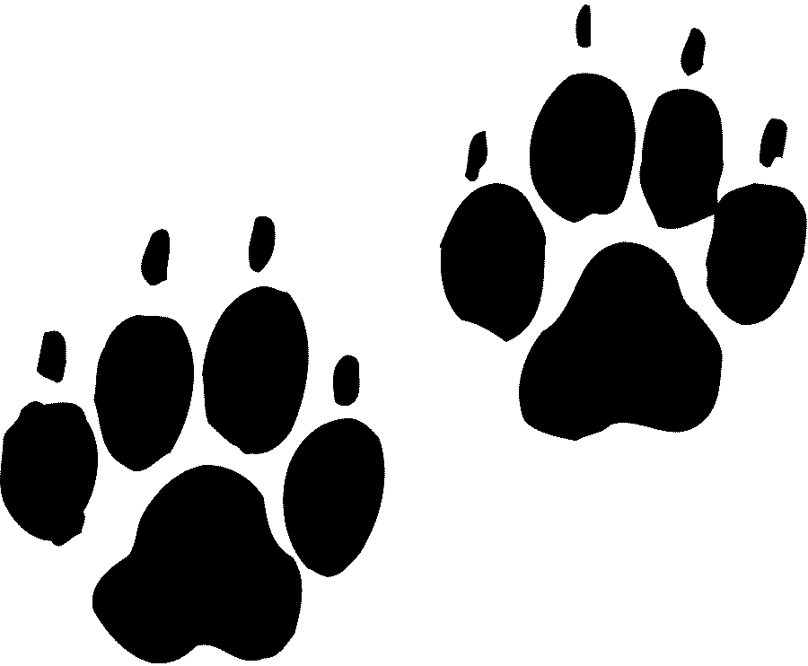 Tiger Paw Stencil