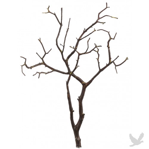 Picture Of A Tree With Branches - ClipArt Best