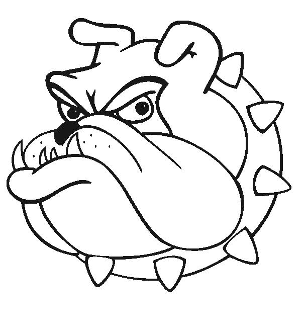 bulldog-cartoon-4.jpg