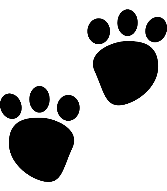 Paw Print Border Clip Art Car Memes