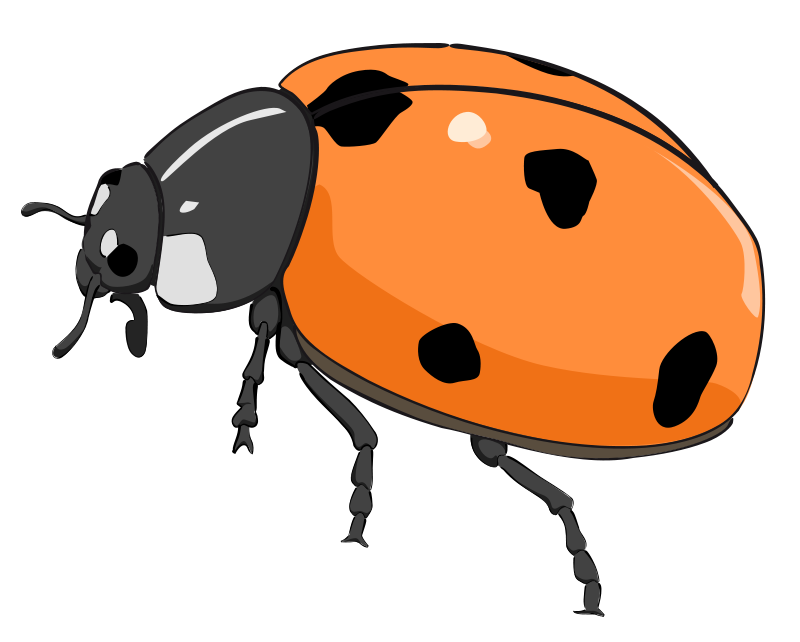 Free to Use & Public Domain Ladybug Clip Art