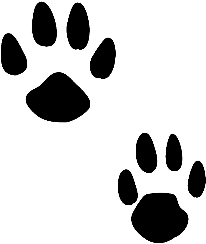 Paw Prints Clipart