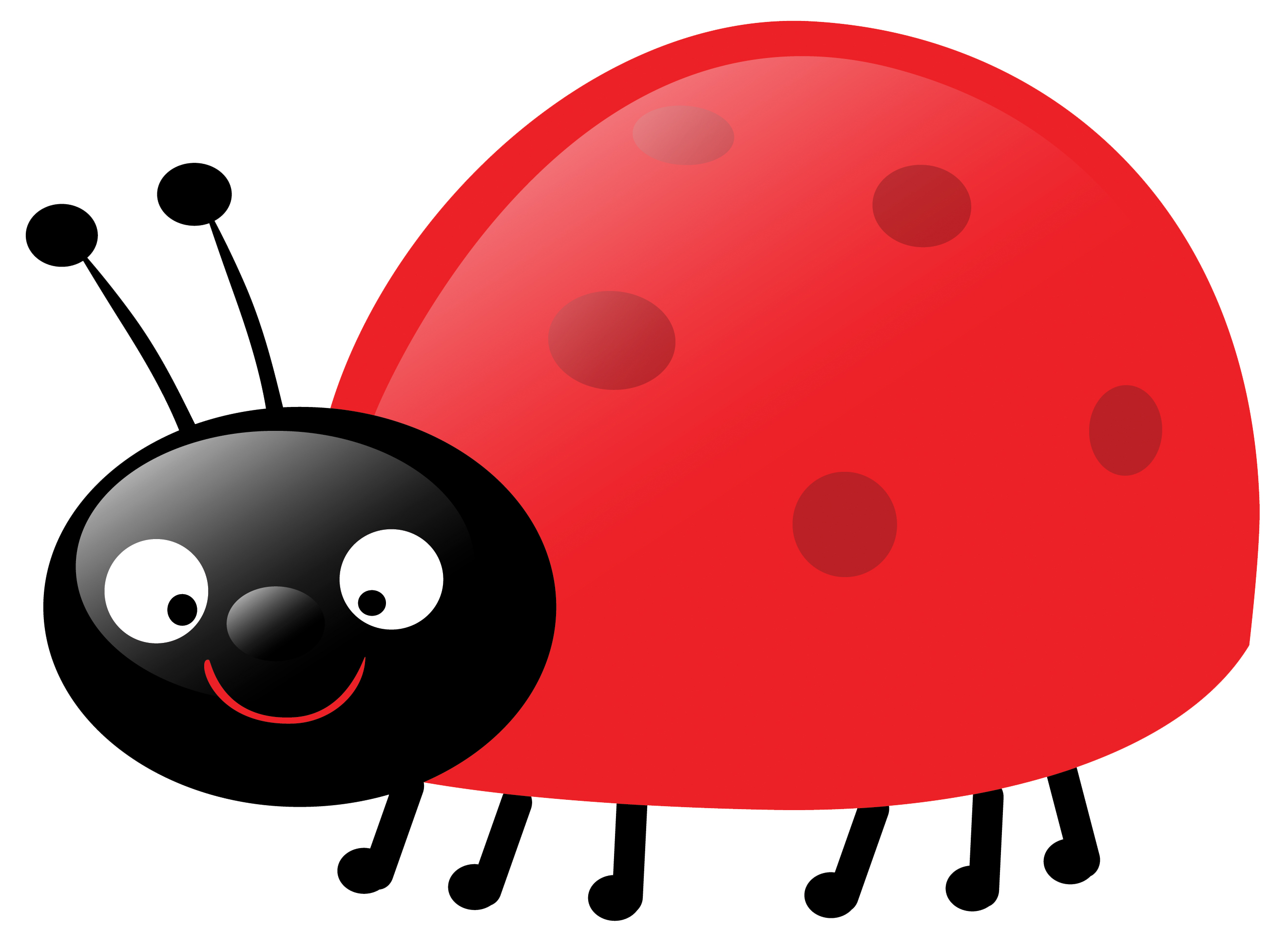 Ladybug Clipart Transparent Background | Clipart Panda - Free ...