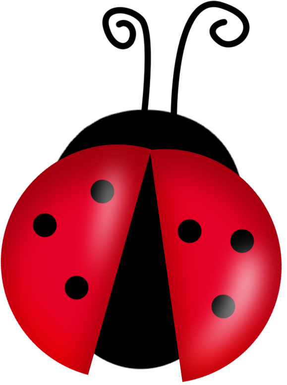 Large Cartoon Ladybug Clipart