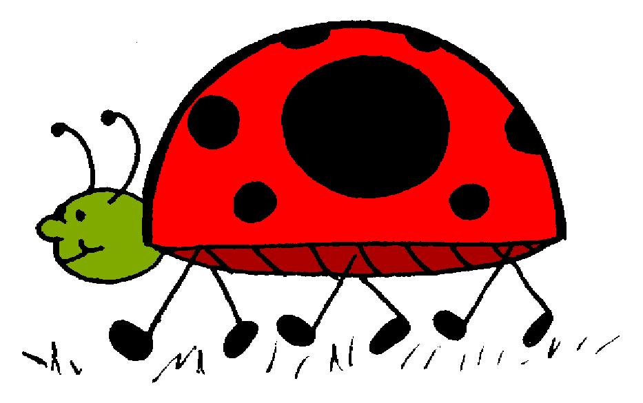 Cartoon Ladybug