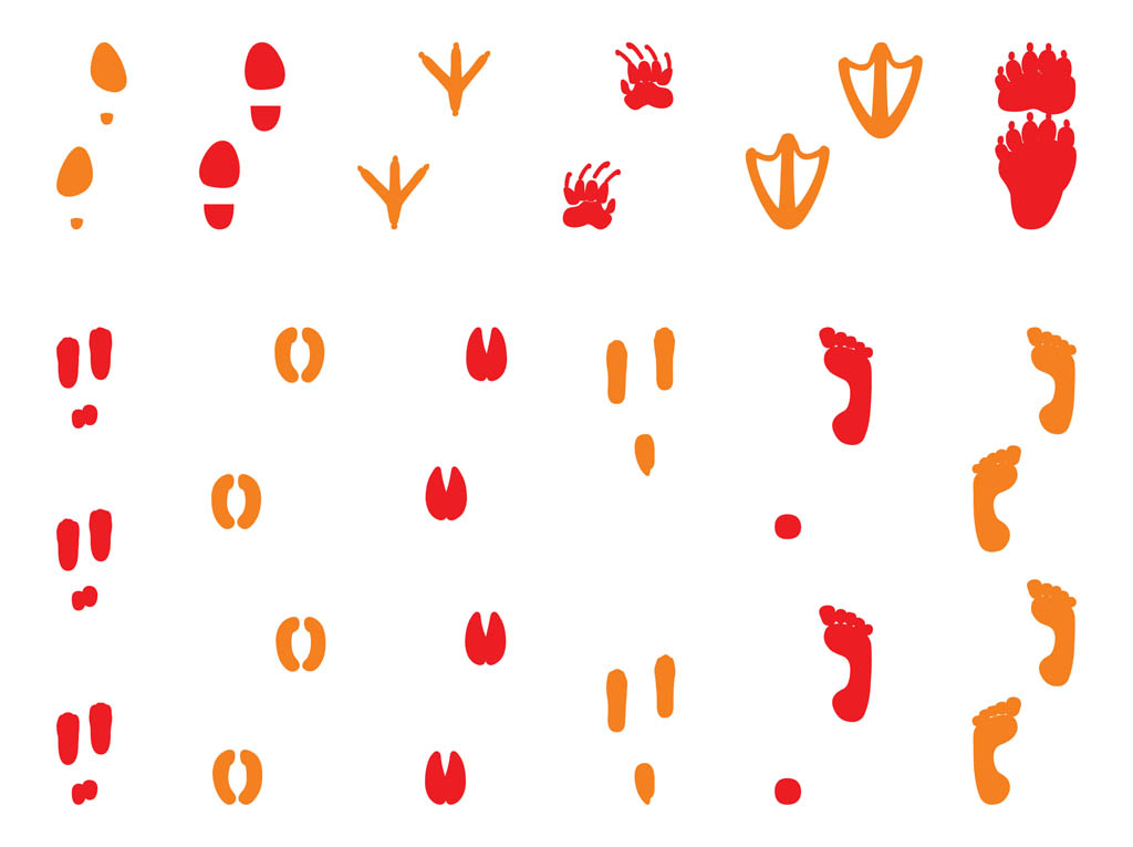 Free Paw Vectors