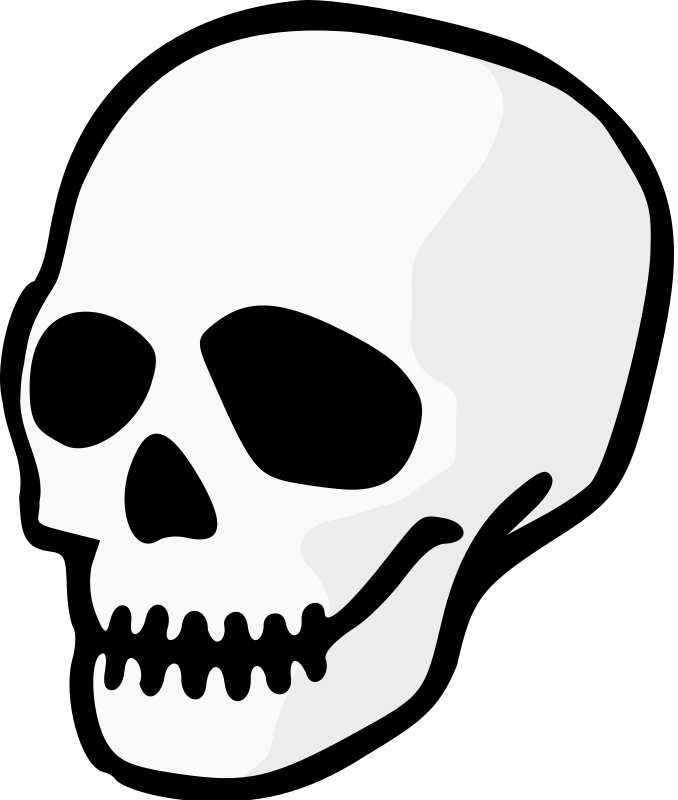 Free Stock Photos | Illustration of a human skull | # 12116 ...