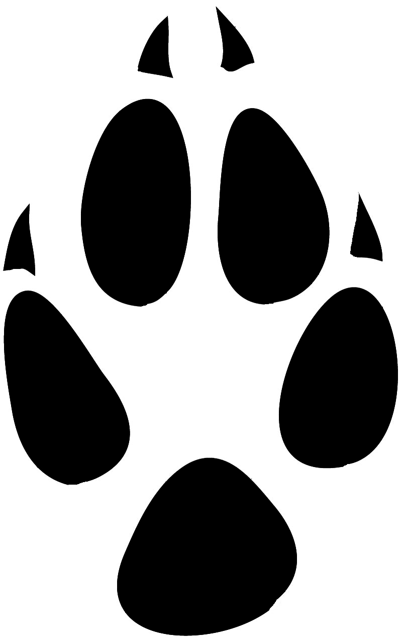 Pictures Of Paw Prints - ClipArt Best