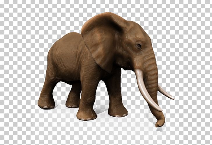 African Elephant Asian Elephant Animal 3D Modeling PNG, Clipart, 3d.