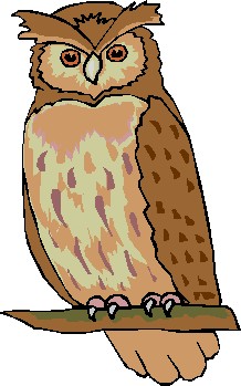 Owl Clip Art.