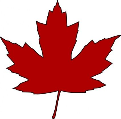 Maple Leaf Outline Vector.