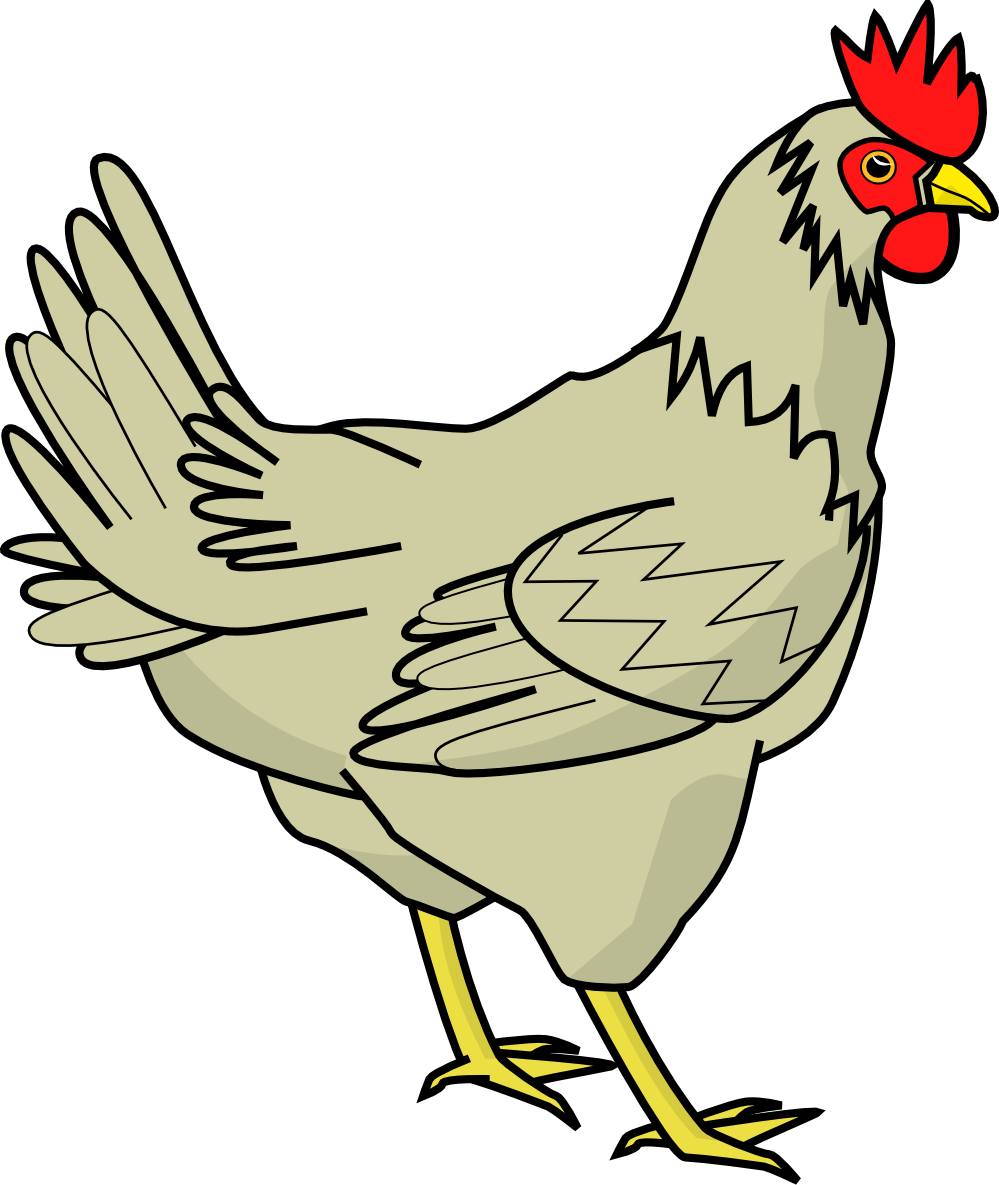 Chicken transparent clipart library :: Download 13 free PNG.