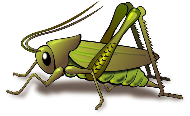 530 Grasshopper free clipart.