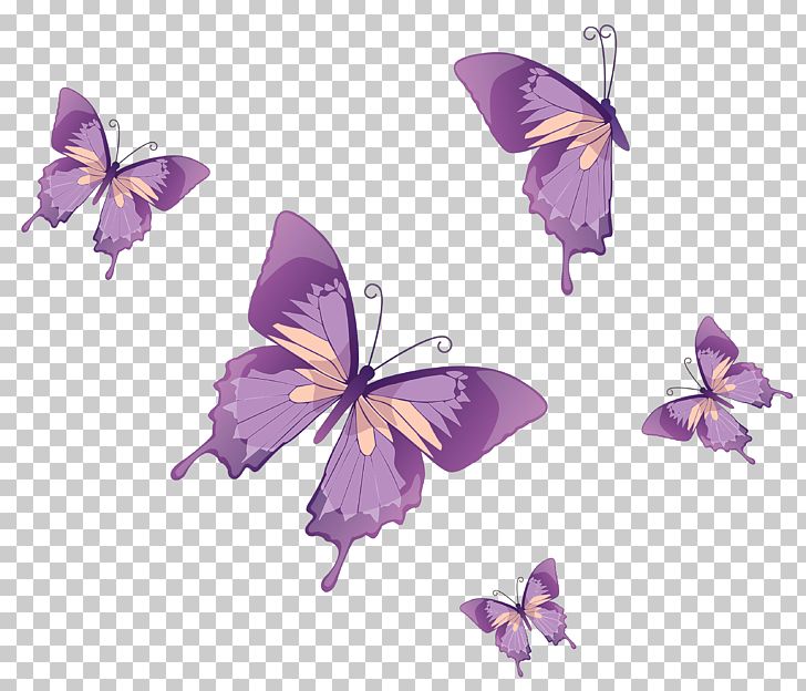 Butterfly Nymphalidae PNG, Clipart, Brush Footed Butterfly.