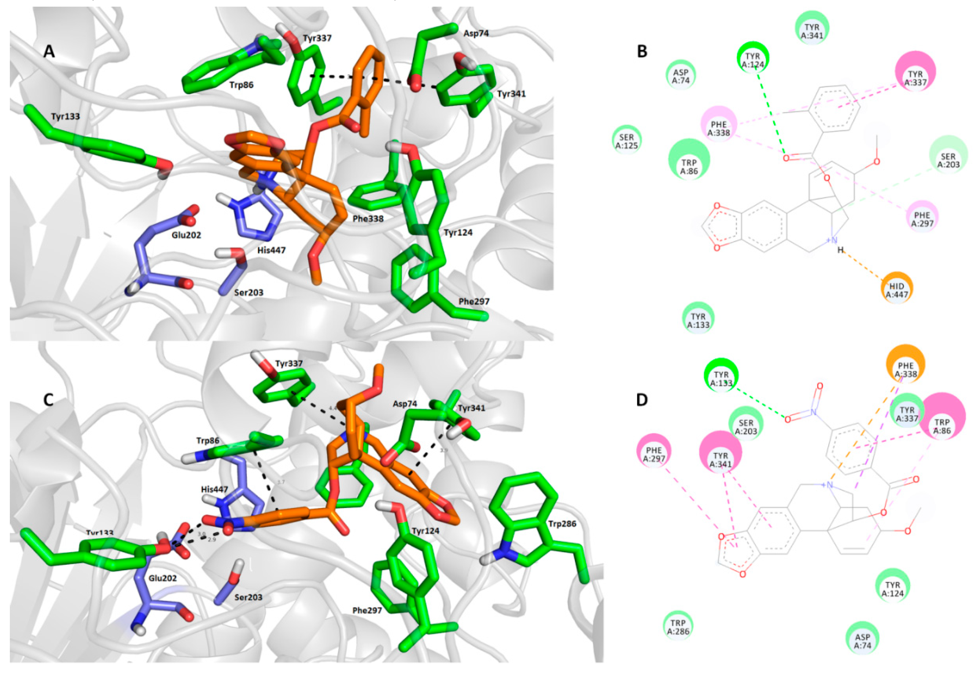 Molecules.