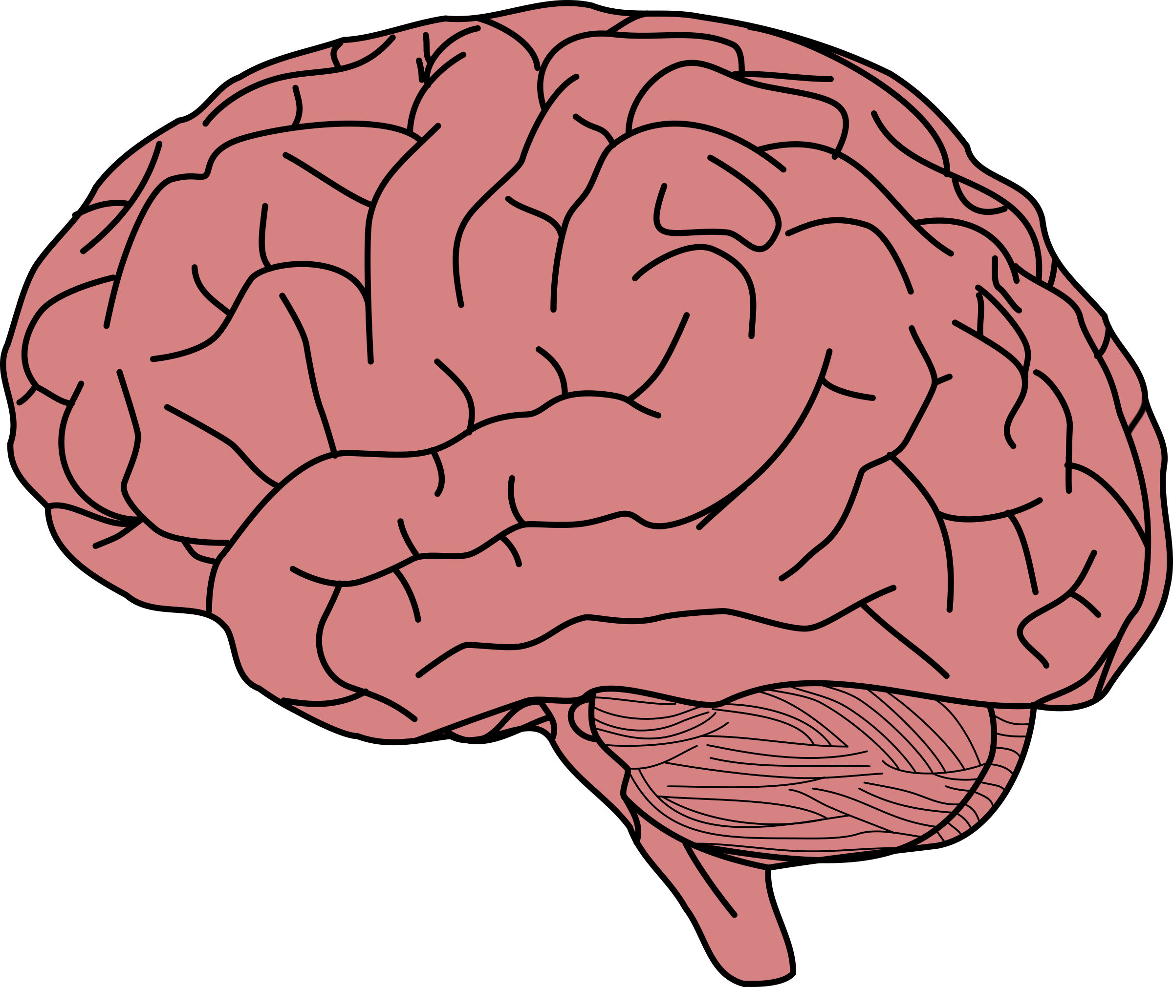 Human brain Memory Clip art.