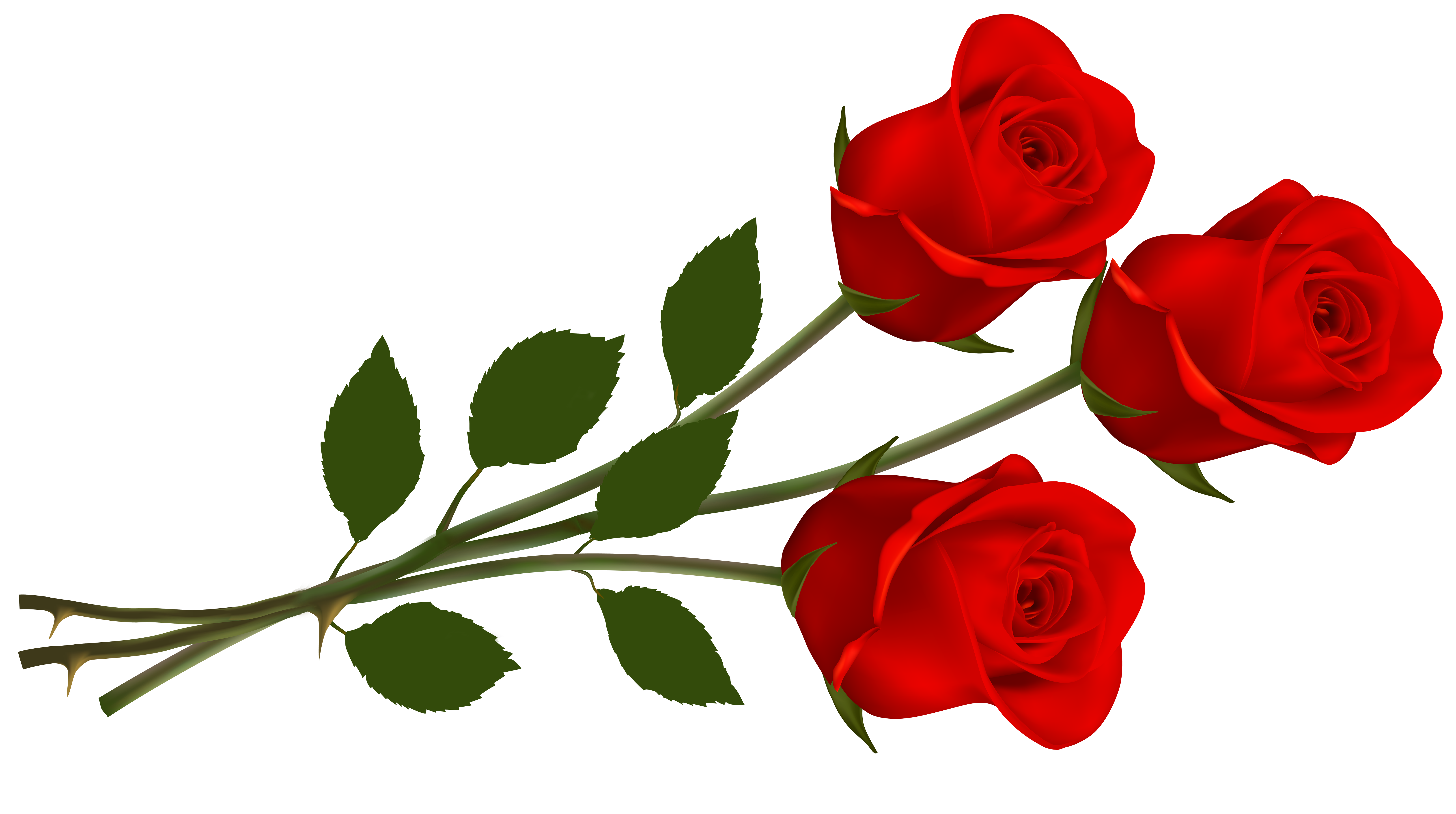 Large Red Roses PNG Clipart.