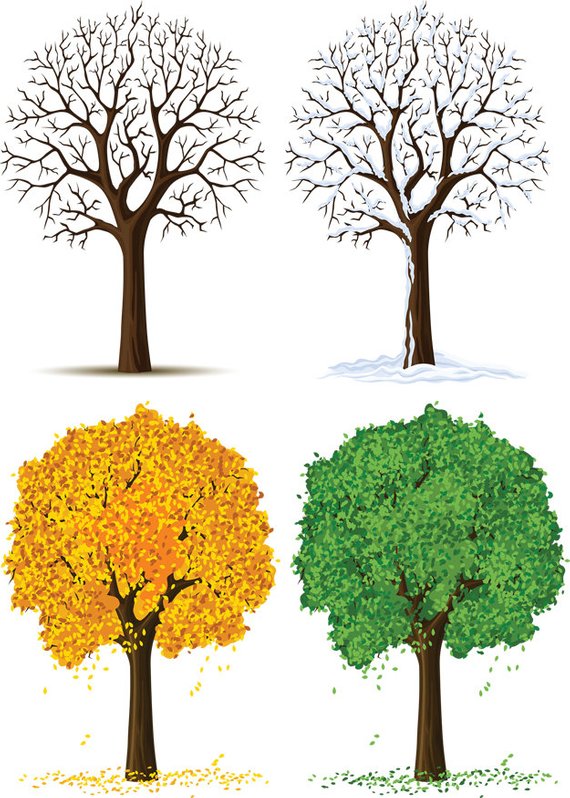 Tree Pack, Four Seasons Image, Four Season Tree Cutout.