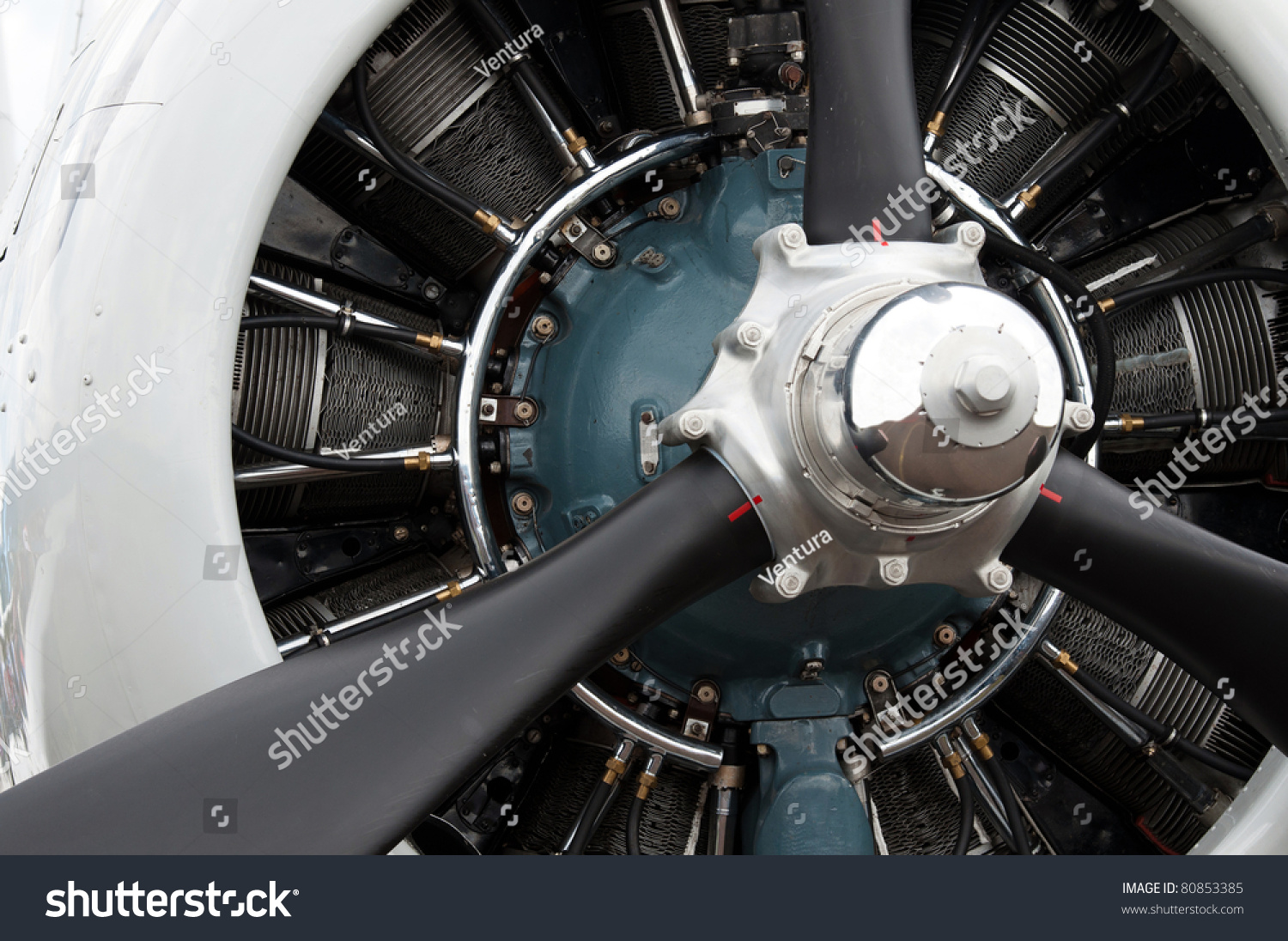 Detail 9 Cylinder Radial Engine Old Stock Photo 80853385.