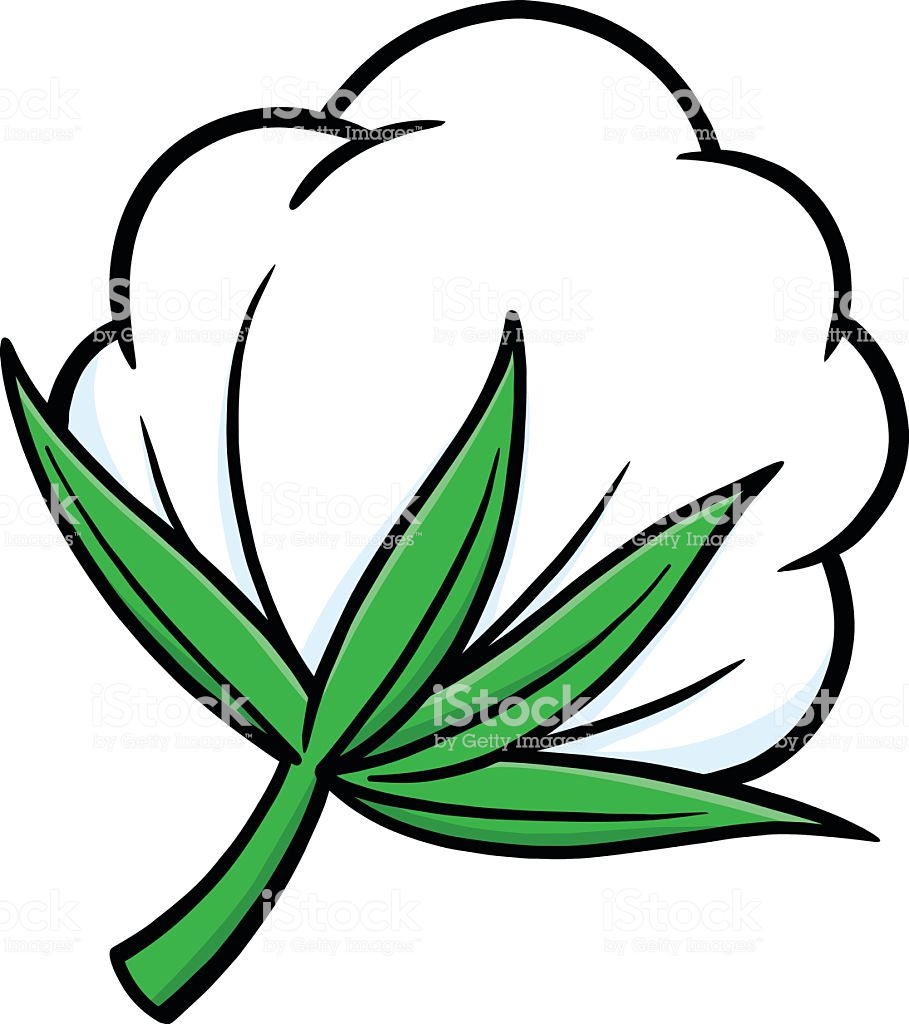 Cotton Clipart Free.