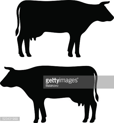 Cow Silhouette premium clipart.