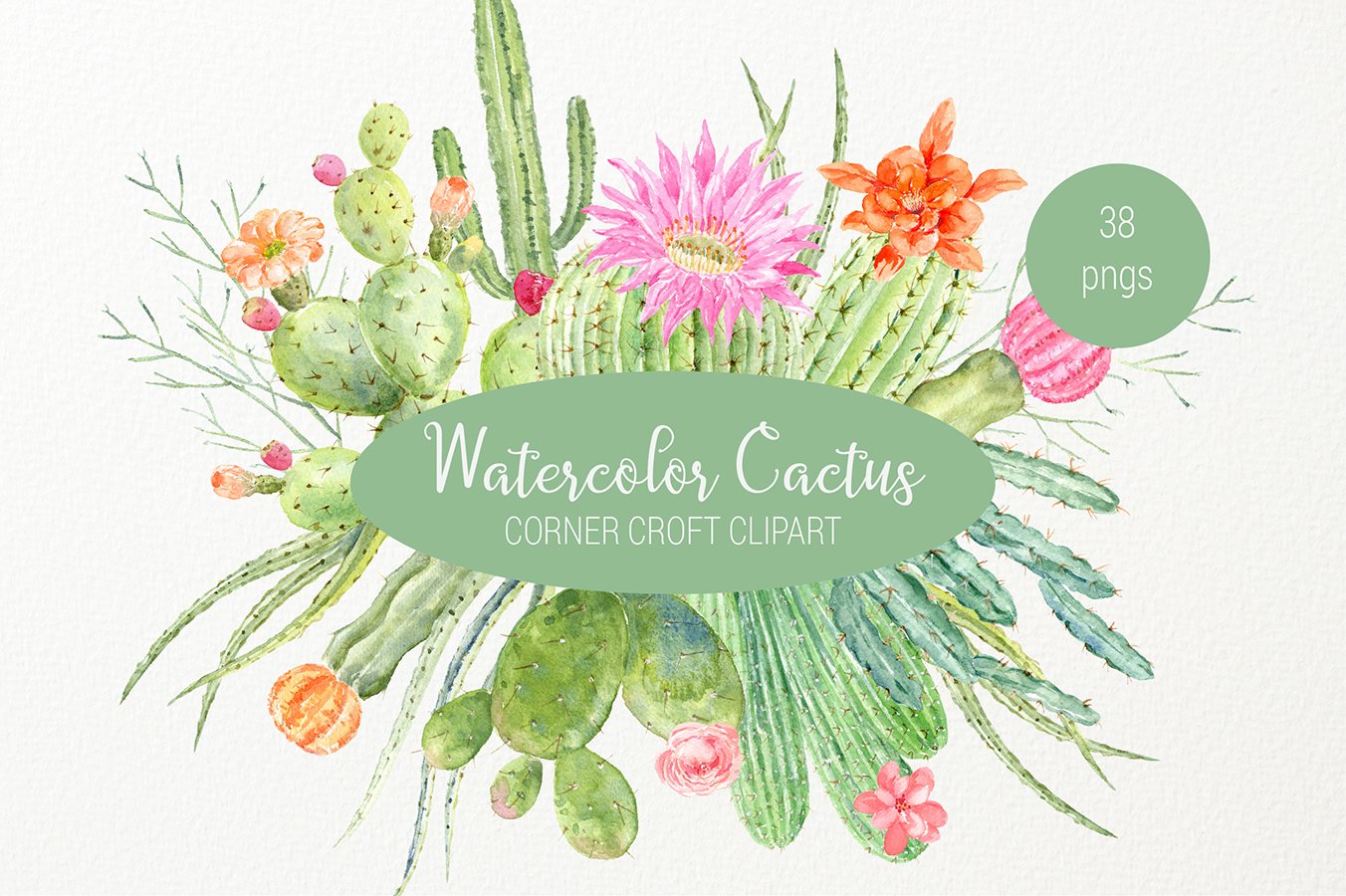 Watercolor cactus clipart, detailed botanial cactus graphics.