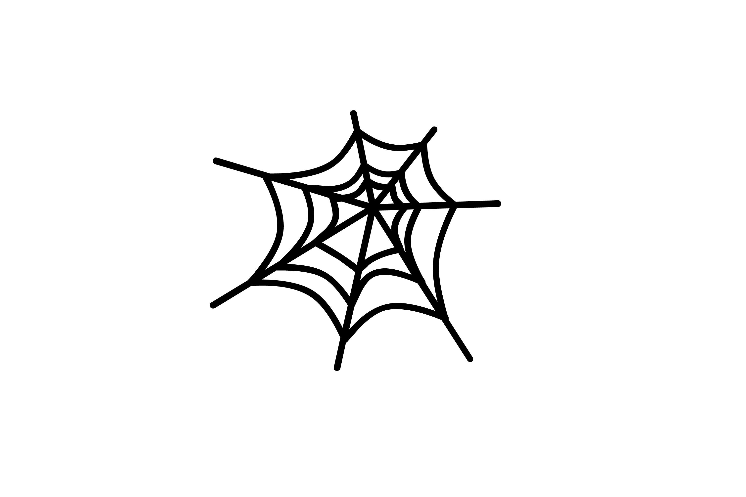 Cobweb clipart free.