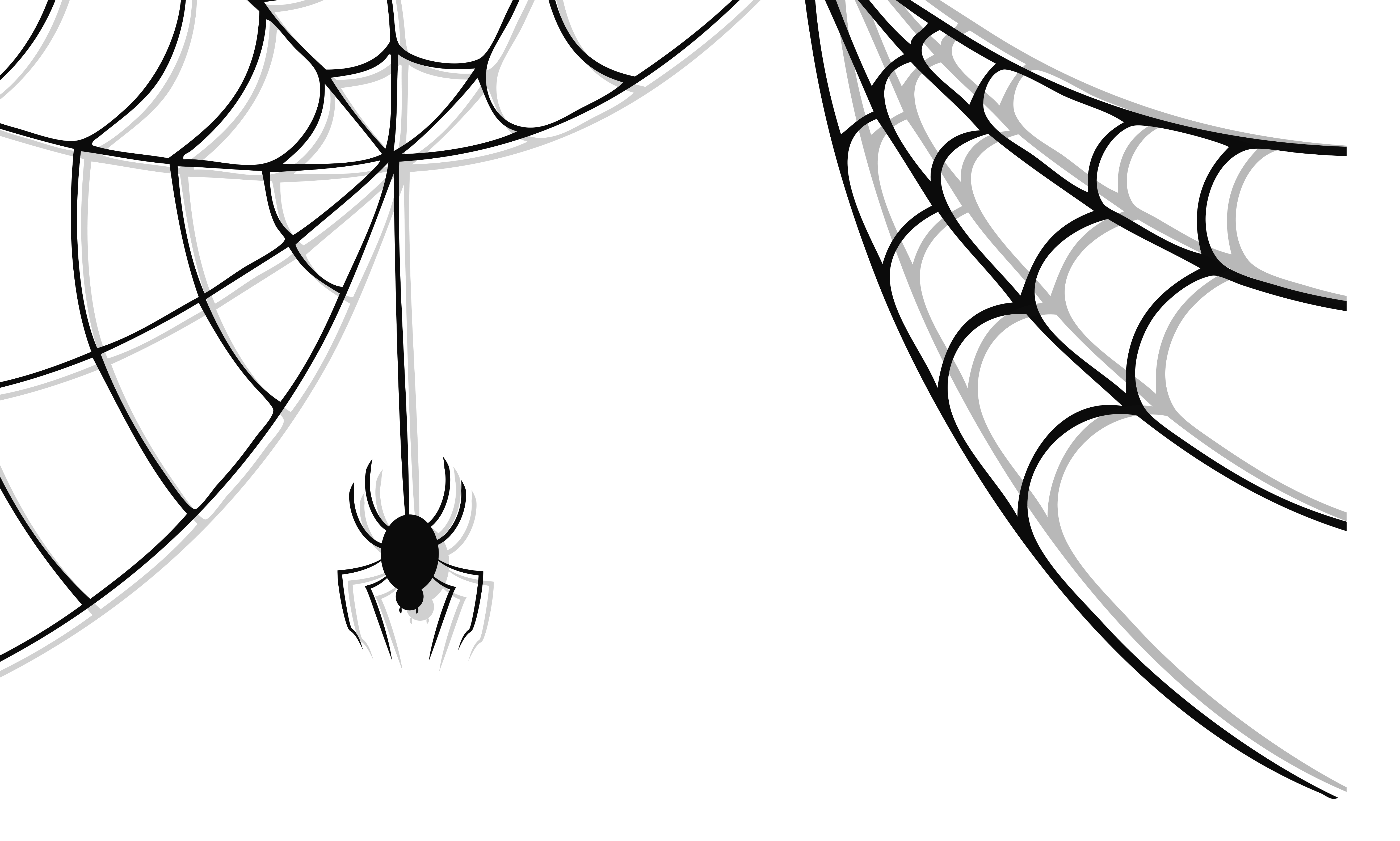 Spiderweb clipart cute, Spiderweb cute Transparent FREE for.