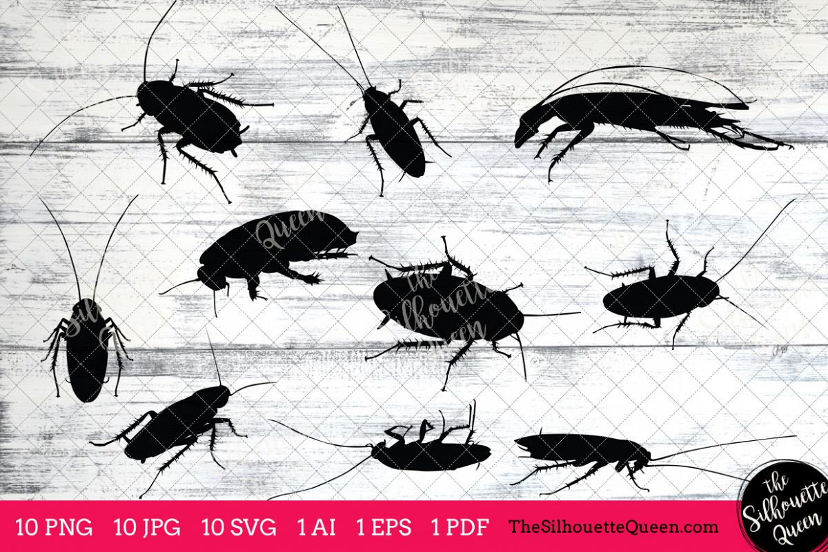 Cockroach Silhouettes Clipart Clip Art(AI, EPS, SVGs, JPGs, PNGs, PDF),  Cockroach Clip Art Clipart Vectors.