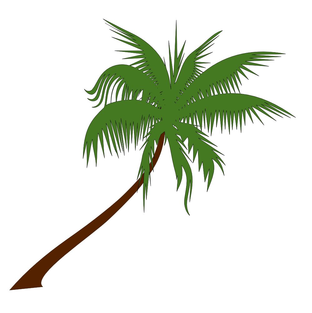 Coconut tree clipart png.