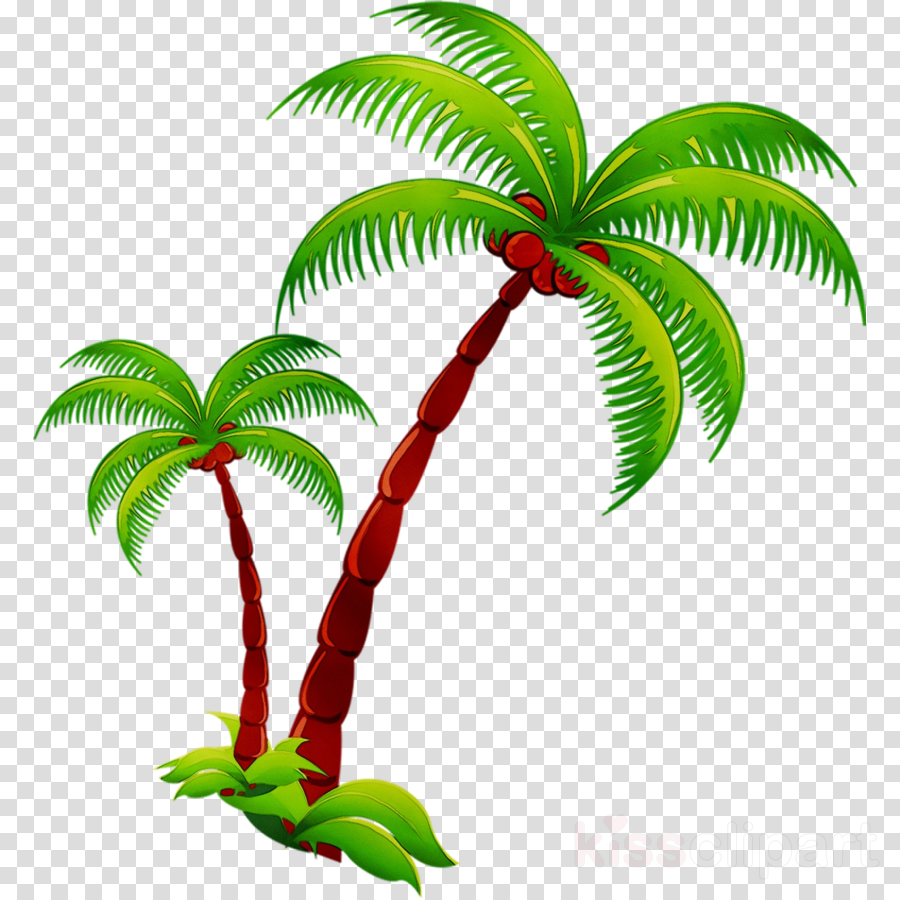 Coconut Tree Cartoontransparent png image & clipart free download.