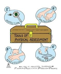 NURS228 Health Assessment in Nursing Flashcards.