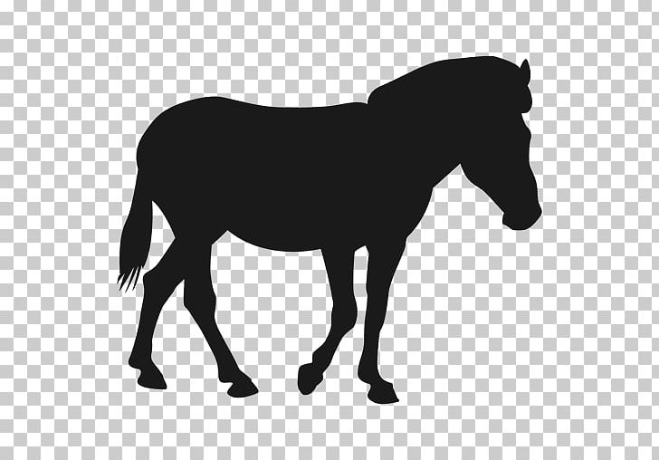 Mule Mustang Stallion Pony Colt PNG, Clipart, Black And.