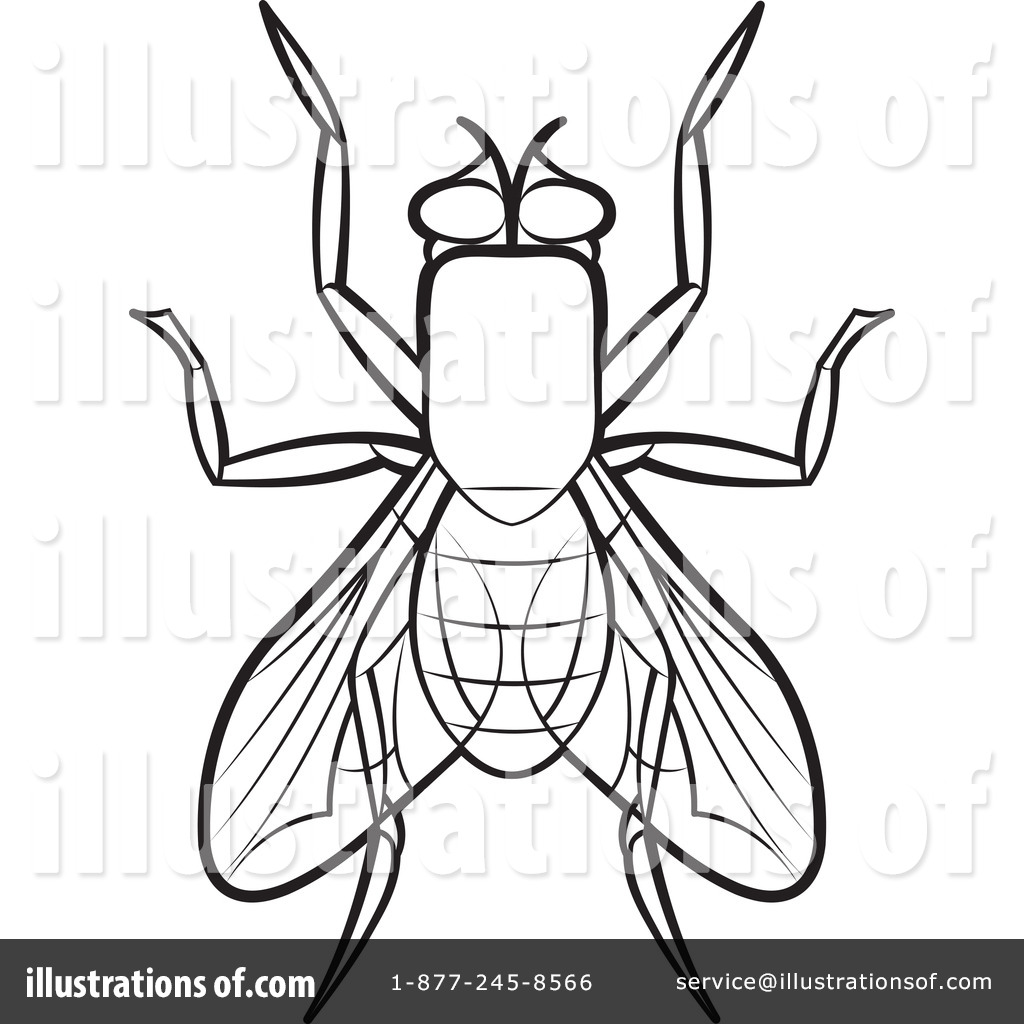 House Fly Clipart #1192469.